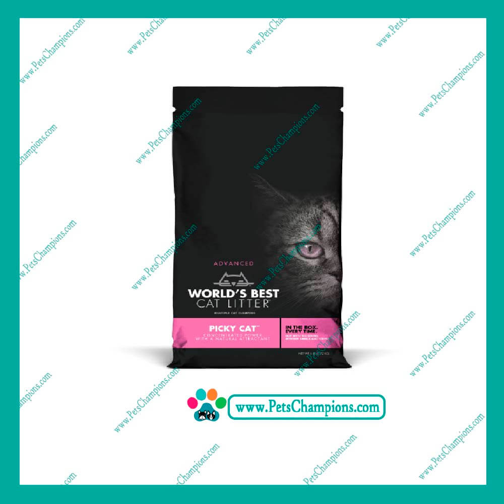 ARENA – WBCL PICKY CAT - Imagen 2