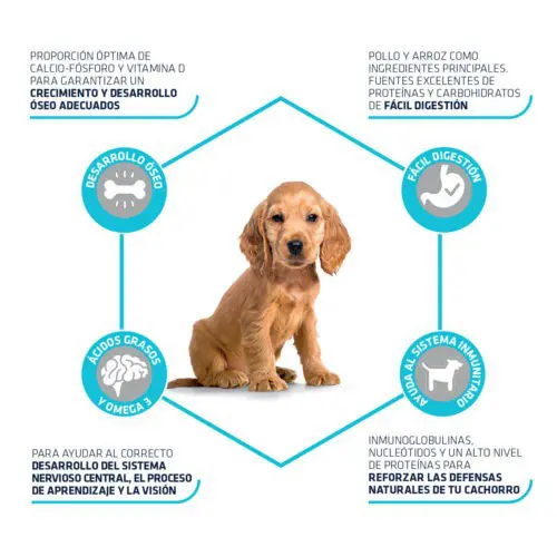 Advance Puppy Medium - Imagen 4