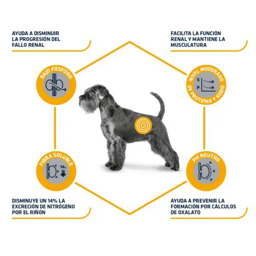 Advance Perro Renal - Imagen 3