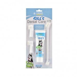 KIT DENTAL CARE