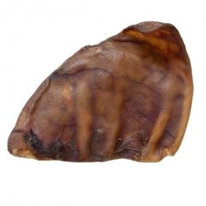 OREJA DE CERDO DISECADA